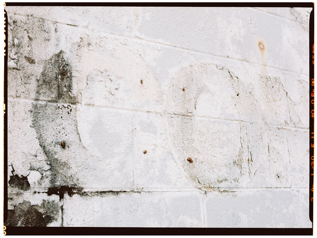 Water Extraction service in Tacoma, WA